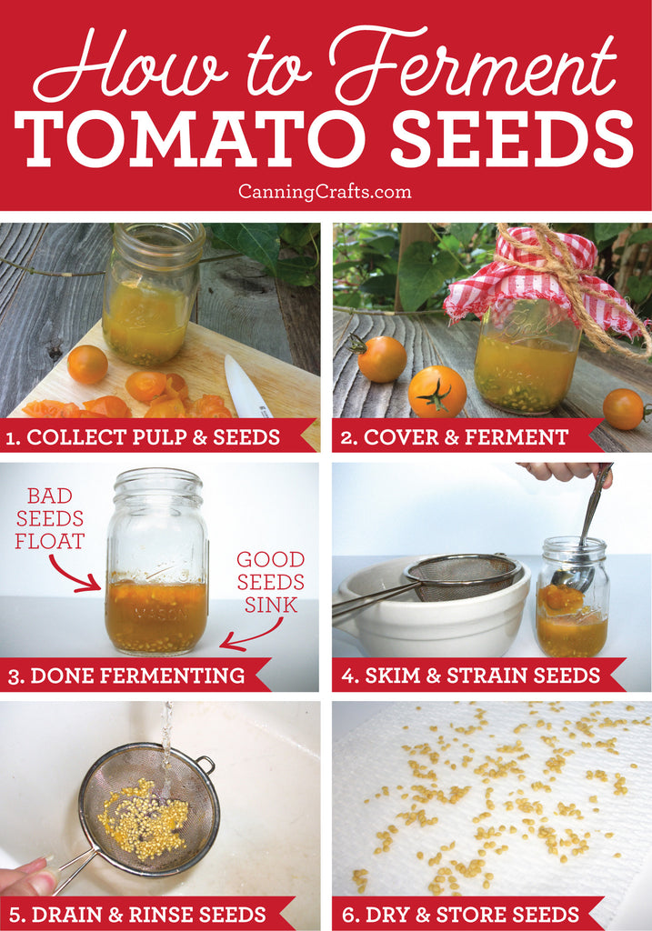 How to Save Tomato Seeds | CanningCrafts.com