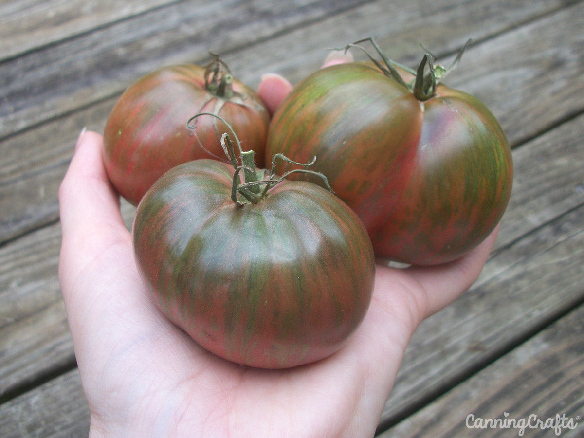 Berkley Tie Dye Tomato