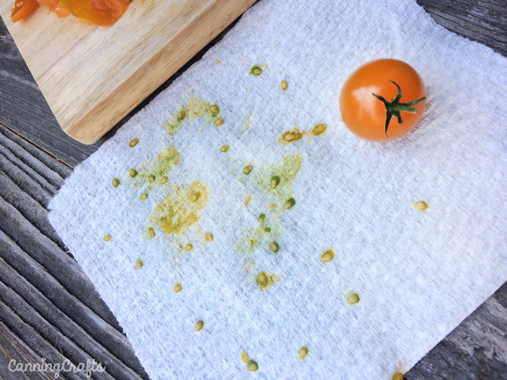 How to Save Tomato Seeds | CanningCrafts.com