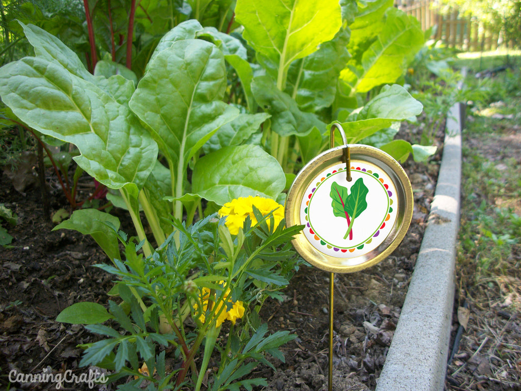 Free Printable Garden Markers for Swiss Chard | CanningCrafts.com