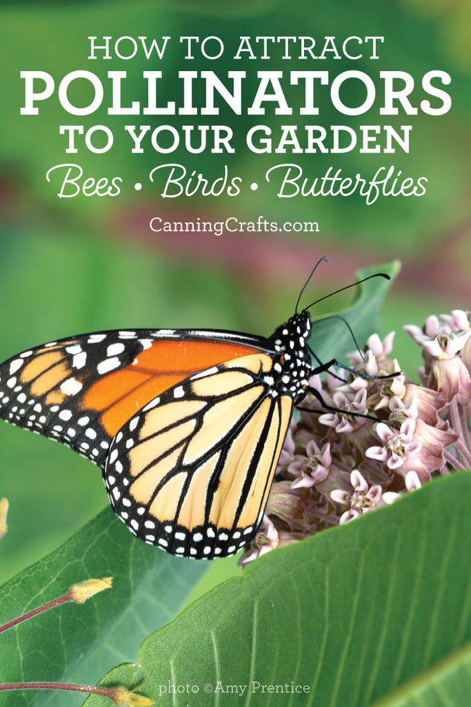 How to attract pollinators such as bees, birds, & butterflies, to your garden | CanningCrafts.com