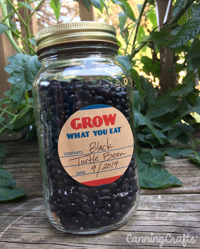 Garden 2019: Black Turtle Beans | CanningCrafts.com