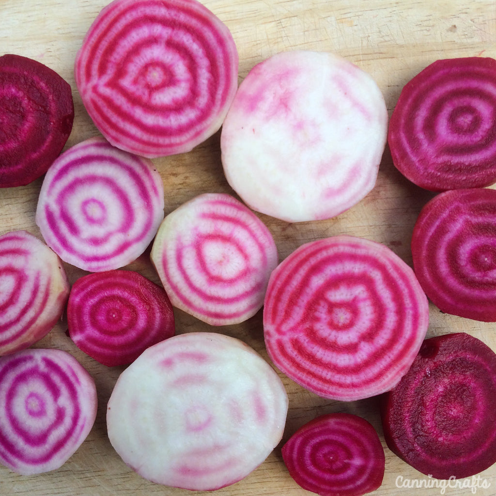 Garden 2019: Chioggia & Early Wonder Beets | CanningCrafts.com