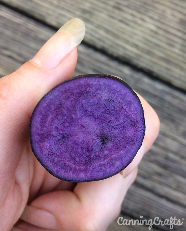 Garden 2019: Magic Molly Purple Potato | CanningCrafts.com