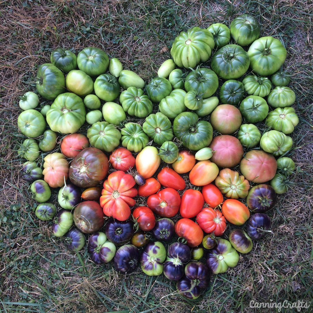 Heirloom Tomatoes in Heart | CanningCrafts.com