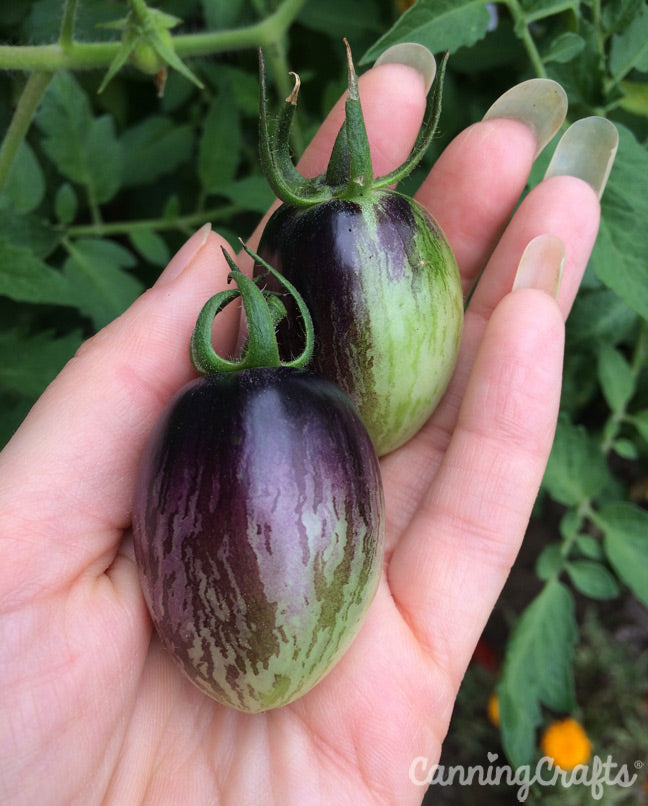 Garden 2019: Brad's Atomic Grape Tomatoes | CanningCrafts.com