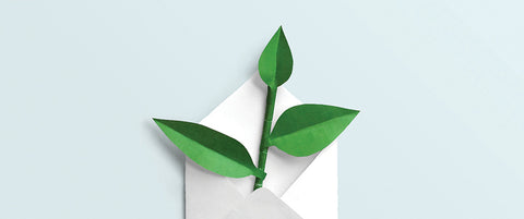 5 Ways to Grow Your Email Subscribers