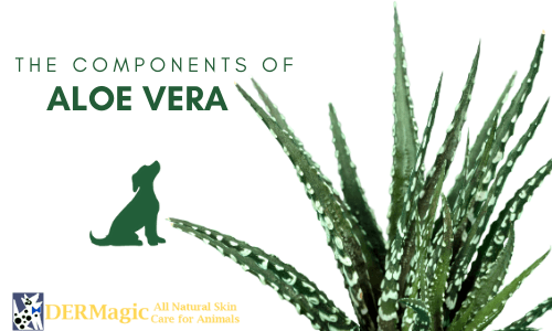 Components of Aloe Vera