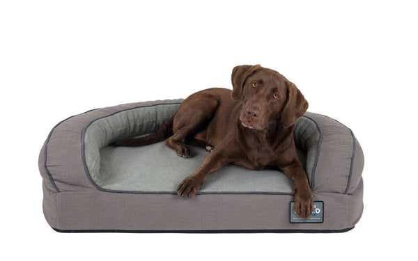 dog bed with