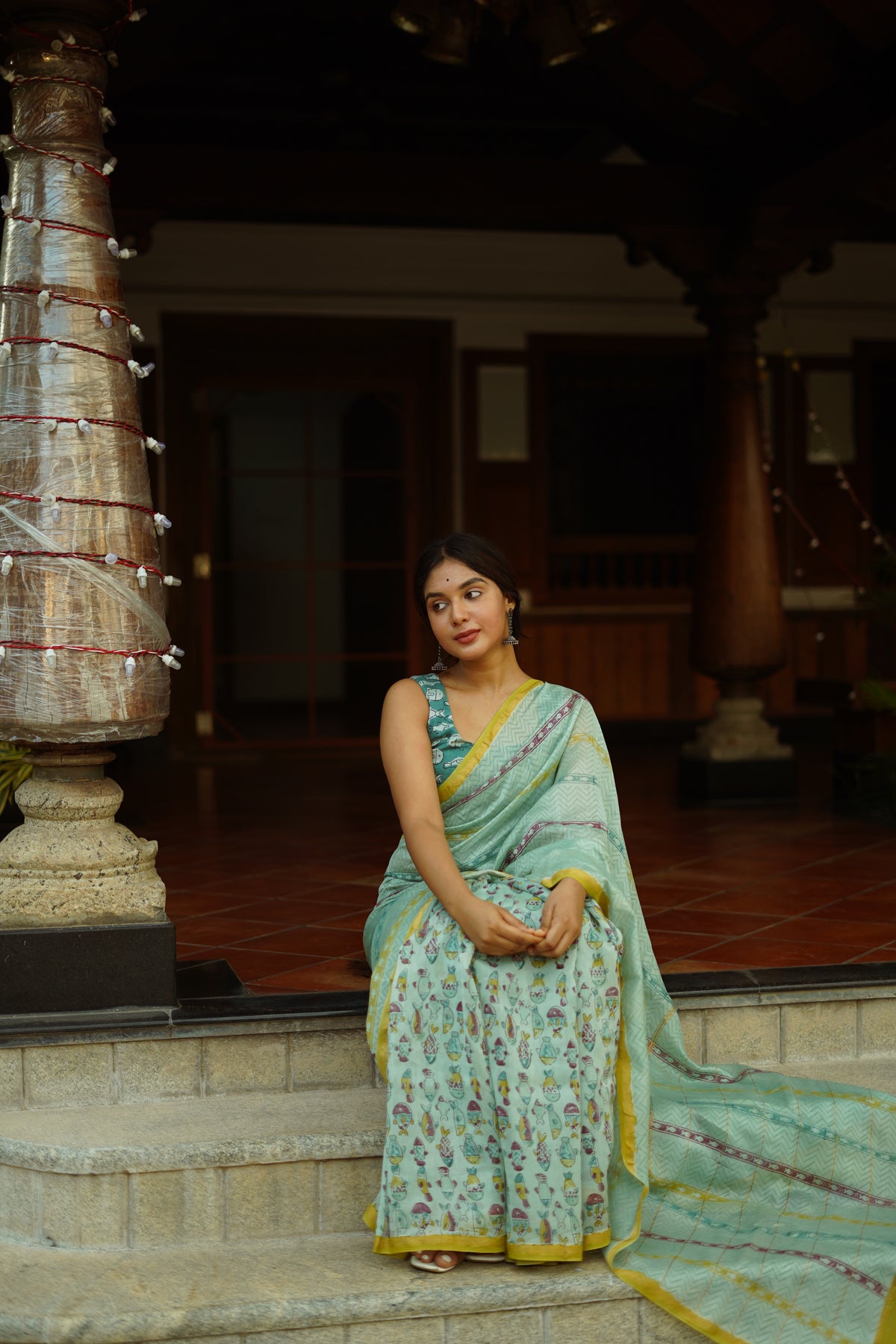 Rimjhim Rimjhim - Chanderi Saree