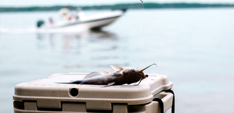 Fishing with Bison Cooler