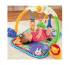 Fisher Price Tracking Lights Musical Gym | Koop.co.nz