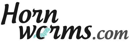 Superworms – Hornworms.com