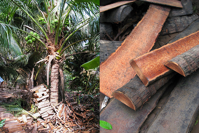 Coconut Wood Blog pic 02