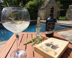 Bottle Cotswold Dry Gin and Peter Spanton lemongrass tonic