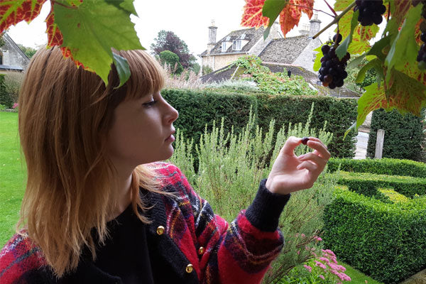 Woman picking grape hammock diary