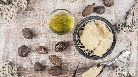 Shea Nut Oil Benefits for Skin & Hair