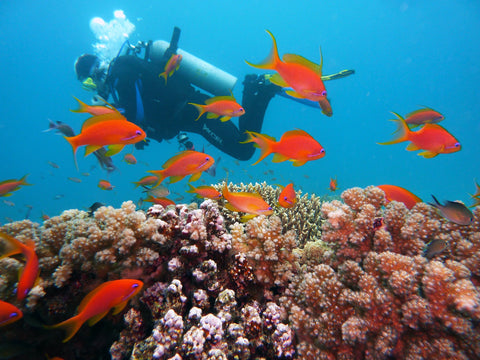 Biodegradable Sunscreen - Diver