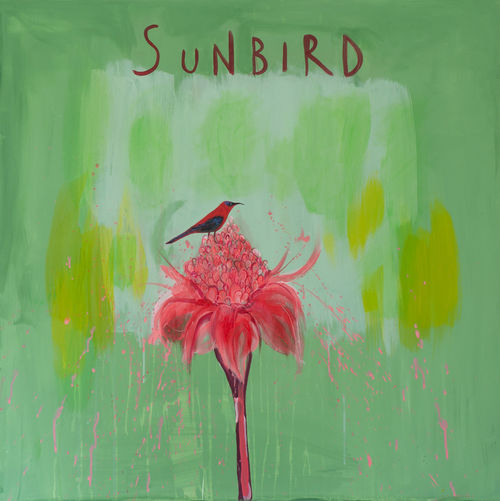Clare Haxby Sunbird Painting and Art Print