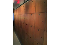 Flat Door Commercial Cigar Humidor Lockers with spanish cedar wood