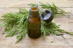 Cypress Essential Oil for Hair Growth