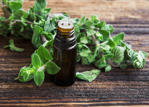 An amber-colored bottle sits on a table surrounded by oregano leaves