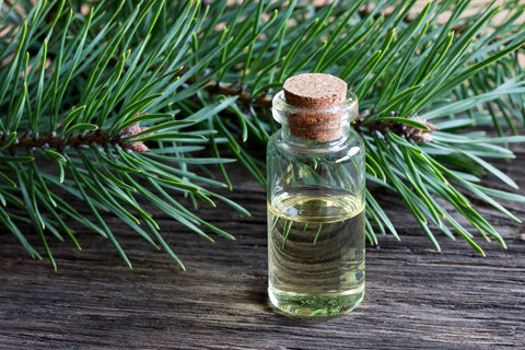 A small glass bottle with a cork top sits on a wooden table with pine leaves