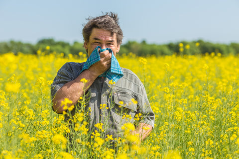 Man stands in a field of yellow flowers holding a handkerchief over his face