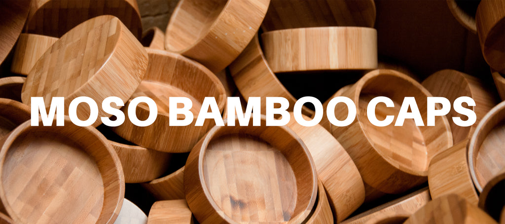 bamboo