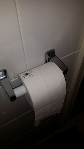 April Fools Spider On Toilet paper Prank 