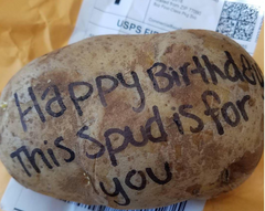 Birthday Potato 