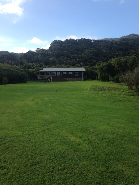 Heaphy Hut