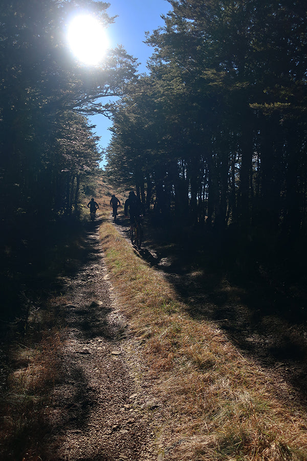 Prime 4WD track bikepacking up to Maitland Ridge