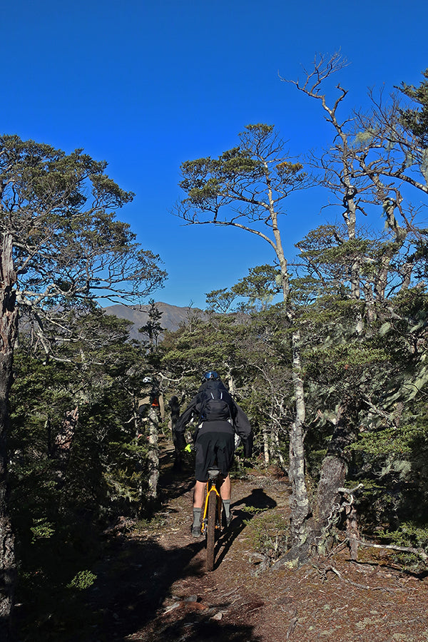 Dropping into some tech on the Maitland Ridge Track