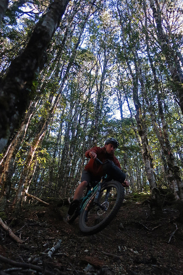 Tom frothing on the Beech forest