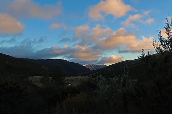 Morning at Red Hills Hut