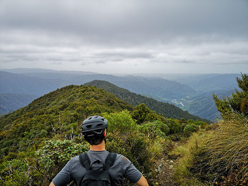 Out of the tree line