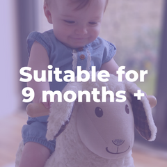 Rocking Horses and Animals for 9 months old babies