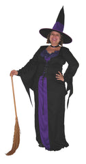 Wicked Witch Plus Size Costume