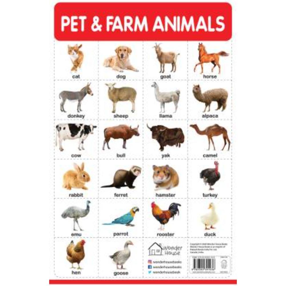 PET AND FARM ANIMALS MY FIRST EARLY LEARNING WALL CHART FOR PRESCHOOL –  Odyssey Online Store