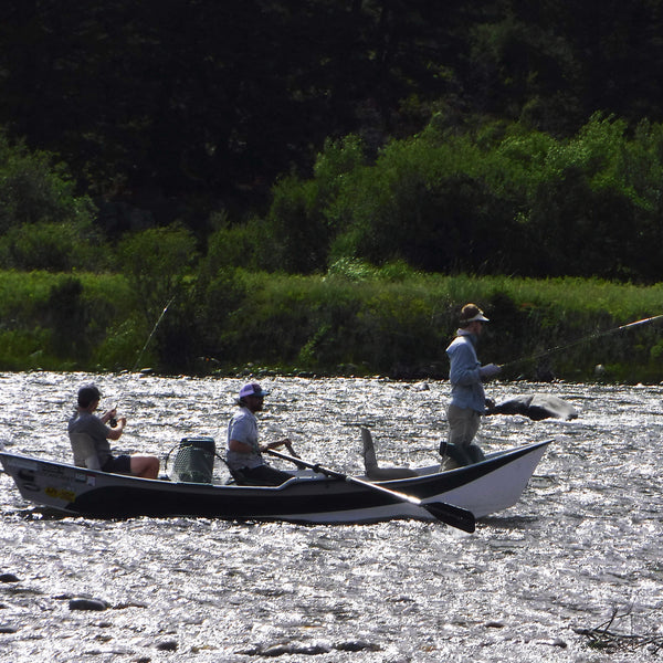 Madison River Float Fishing Trips