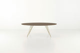Tronk Williams Coffee Table - Oval Small Walnut Brass Gold