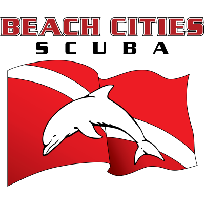 www.beachcitiesscuba.com