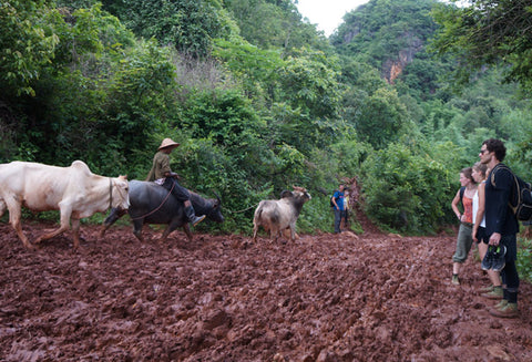 makers travelers myanmar 3 day trek mud rainy season