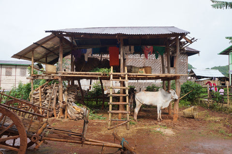 makers travelers myanmar buffalo farm house trek hike explore