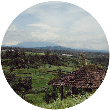 makers travelers bali rice fields jatiluwih