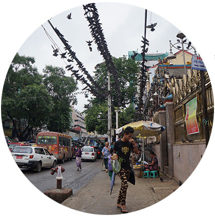 makers travelers myanmar burma yangon birds streets busy