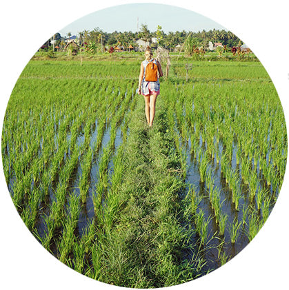 makers travelers north bali bulian rice paddies hiking lovina