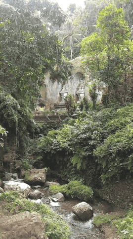makers travelers jungle book water stream bali