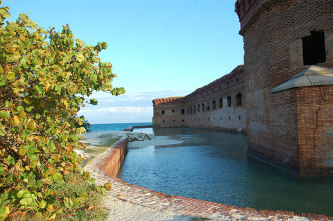 Dry Tortugas